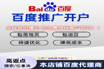 揭秘sem百度竞价背后的成功秘诀与案例